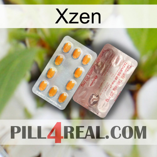 Xzen new13.jpg
